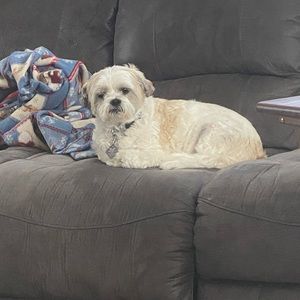 Meet your Posher, Elizabeth